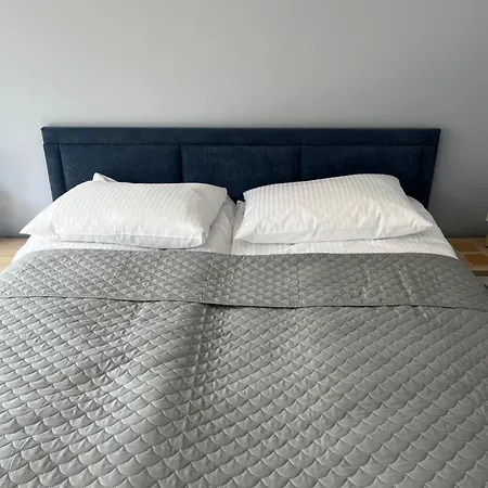 Amon Darlowek Emilia Strupiechowska * דארלובו